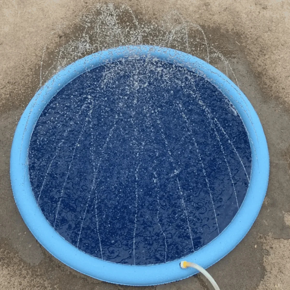 Piscine gonflable pour chien | PoolRefresh™ – Image 4